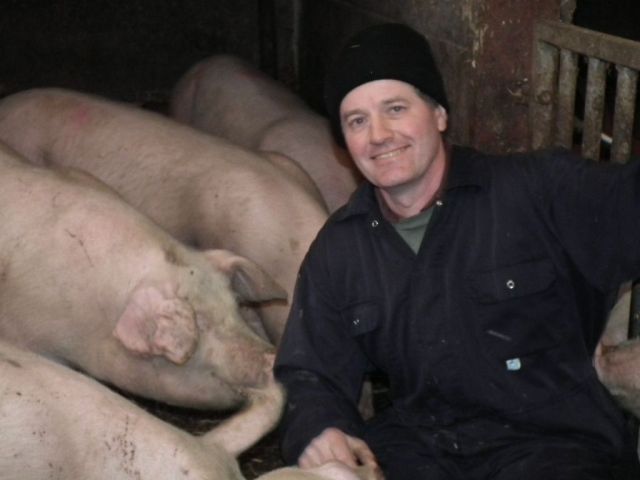 Pig farmer Chris Leamon crouched in a pen with pigs